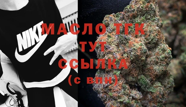 шишки Беломорск