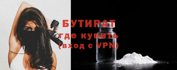 шишки Беломорск