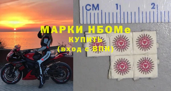 шишки Беломорск