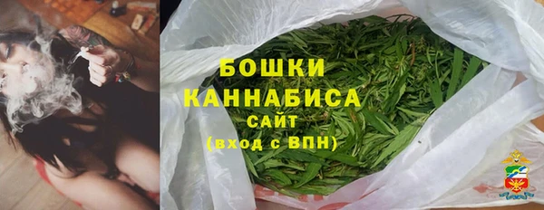 шишки Беломорск