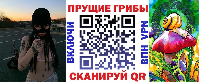 мега как войти  Кузнецк  Псилоцибиновые грибы Cubensis 